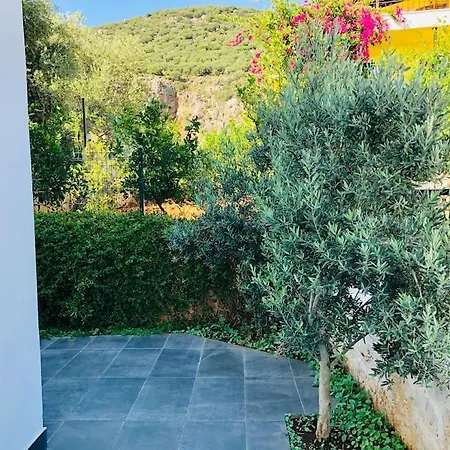 Hmc * Kaş