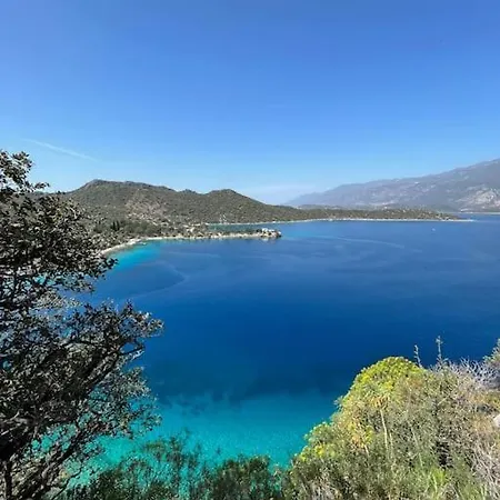 Hmc * Kaş