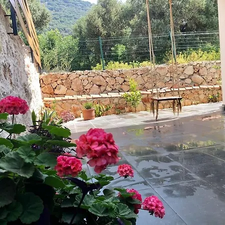 Hmc Kaş